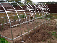 Теплица Дачная ЭКО 3 x 8 x 2 м с поликарбонатом PRACTIQ Теплица Дачная ЭКО 3 x 8 x 2 м с поликарбонатом PRACTIQ