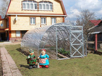 Теплица Дачная Оптима 3 x 4 x 2 м с поликарбонатом Карбогласс Кристалл Теплица Дачная Оптима 3 x 4 x 2 м с поликарбонатом Карбогласс Кристалл