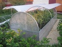 Парник Слава СП 2/1,3/0,87м с поликарбонатом RTLINE Agro специально для теплиц! Парник Слава СП 2/1,3/0,87м с поликарбонатом RTLINE Agro специально для теплиц!