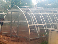 Теплица "Дачная Стрелка-3" 3 x 6 x 2,4 м с поликарбонатом Стандарт Воля Теплица "Дачная Стрелка-3" 3 x 6 x 2,4 м с поликарбонатом Стандарт Воля