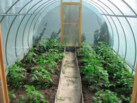 Теплица под пленку Томато / 4,88 х 2,55 х 1,75 м Теплица под пленку Томато / 4,88 х 2,55 х 1,75 м